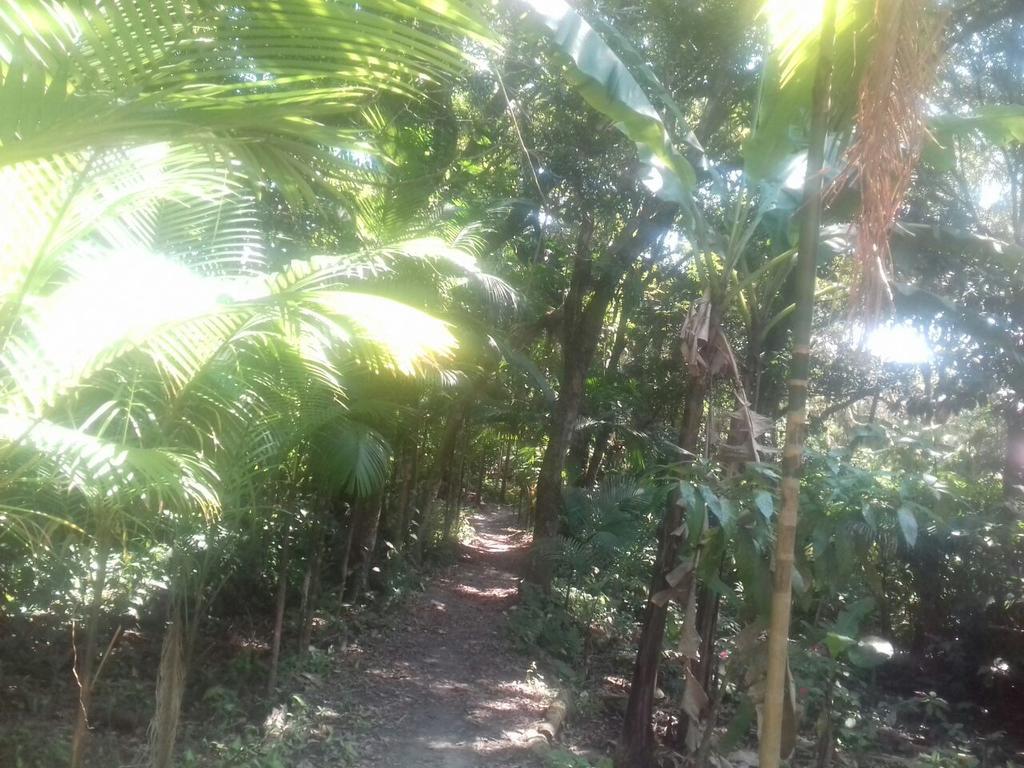 Recanto Da Kaka Ilha do Mel Exteriör bild